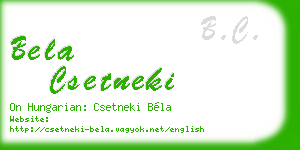 bela csetneki business card